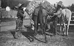 Cinching the pack, [Hazelton, B.C.], 1908-1912 1908-1912