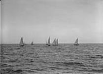 Sailboat races, Toronto, Ont., June 27, 1931 27 June 1931