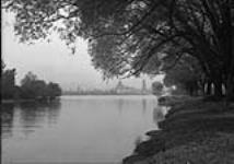 (General views) View north between Island Park and Drugg's, Toronto, Ont Sept. 25, 1944