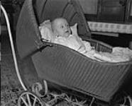 Baby [in a carriage] ca. 1949
