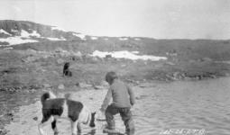 [An Inuk child named John Bull with dogs]. Original title: Eskimo dog and "John Bull" 10 June 1924.