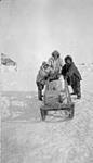 Three Inuit men pushing a cart 1931