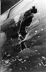 Collision damage to Boeing 'Fortress' 11A aircraft 9205 of No. 168 (HT) Squadron, R.C.A.F., Predannack, Cornwall, 22 January 1944 22 Jan. 1944