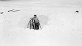 Digging out a whaleboat from a six-foot drift, Basil Bay May 1931.