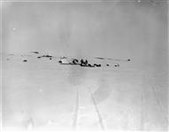 Scene at camp 7, west coast of Baffin Island 18 March 1929.