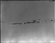 Scene at camp 7, west coast of Baffin Island 18 March 1929.