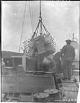 S.S. NASCOPIE discharging cargo at Cartwright 1929