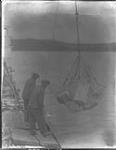 S.S. NASCOPIE discharging cargo at Cartwright 1929