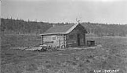 Mr. Gibson's Cabin - Mr. Gibson is breeding horses and wants to try Iceland Pony at Lignite, Nenana River, Alaska June 1926