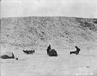 [Group of Inuit on a qamutiik being pulled by a dog team] Original title: Native dogs on Komitk (Sled) 1923