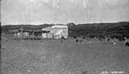 Pete Strombers tent at the Fish Camp Our dogs in the foreground, east of Kittigazuit July 1927.
