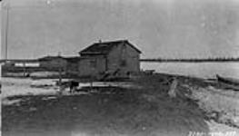 Our house at Aklavik and some of the dogs May 1927.
