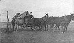 [Horse drawn wagon in Western Canada] n.d.