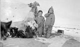 [Inuuk children with dogs by a tupek]. Original Title: Eskimo Tupek, children and dogs 1 Octobre 1943