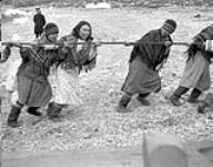 Inuit pulling a rope 1944