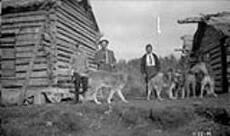 Scene at Aklavik, Husky dogs 1922