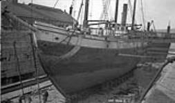 C.G.S. "Arctic" in Dock 1924