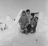 Repulse Bay, N.W.T. Children posing for picture in front of their qarmaq or sod hut. [From left to right: Paul Maniittuq (Manitok), Yvo Airut, Michael Kusugaq (Kusugak), Jose Kusugaq (Kusugak).] 1953.