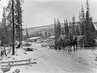 Tombstone freighting camp 1907