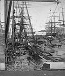 Montreal Harbour 1880