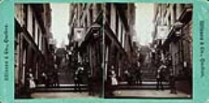 The European flavour of the Breakneck Steps, on Little Champlain Street, made them one of Quebec City's most popular photographic scenes. Stereo albumen print 1865