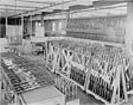 Vue intérieure de la manufacture Ross Rifle ca. 1900 - 1905