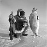 [Kalaut with frozen seal Igloolik, N.W.T.] [1953].