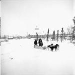 Inuit children with husky-drawn toboggan along main street in Inuvik, N.W.T. In the background the newly completed "Our Lady of the Arctic" church can be seen Dec. 1959.