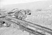[L'homme autochtone travaile sur un traîneau, Padlei, T.N.-O.] [1949-50]