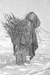 [Alanaaq transportant du bois pour un feu.] [1949-50]