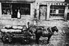 Wagons, Molson Brewery ca. 1900 - 1905