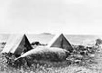 Camp, Shores of Hudson Bay/Campement sur les rives de la baie d'Hudson 1867-1872