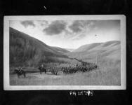 Coolee on the way to Humboldt, [Sask.] 128 [&] 35th Battalions [1885] 1885.