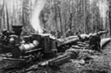 Train of Logs, Royal City Mills Camp ca 1895