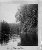 On the Sturgeon River, [Timiskaming District, Ont.] [ca. 1897]