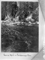 Running rapids on Tamagamingue [Timagami] River, [Ont., 1897] 1897