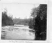 A log jam on the Mattawa River, Nipissing District, Ontario [1897]