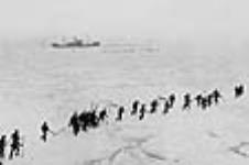 Sealing on the ice off St. John's ca. 1919