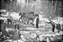 Logging in Muskoka / Coupe de bois à Muskoka ca. 1936