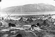Dogs and tents 1934.