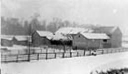 Barns on Francis Ballantyne farm near Smith's Falls, burnt Dec. 1919 [between 1889-1916]