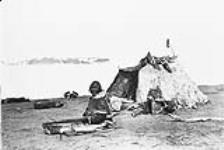 Coronation Gulf Eskimo, Kox-shuk-tok, seated in front of his tent, putting sinew lashing for backing on three-piece bow lashed to another piece of wood to hold it rigid.Stefansson-Anderson Arctic Expedition, 1908-1912, 10 am 25 May 1911.