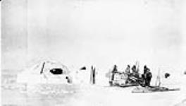 Snowhouse (Kaiariok's) complete with entrance passage and sled about to be unloaded, Stefansson-Anderson Arctic Expedition 1908-1912 14 Apr. 1911.