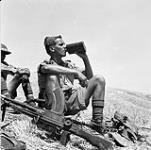 Pte. Stephen Wallace, Princess Patricia's Canadian Light Infantry (P.P.C.L.I.), rests north of Valguarnera, Italy, July 1943 July, 1943.