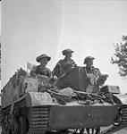 Infantrymen of The Toronto Scottish Regiment (M.G.) in a Universal Carrier near Tilly-la-Campagne, France, 8 August 1944 August 8, 1944.
