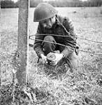 Sergeant Jack Hickman of the 6th Field Company, Royal Canadian Engineers (R.C.E.), disarming a German mine, France, 2 July 1944 July 2, 1944.