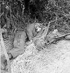 Captain W. Noble of The Highland Light Infantry of Canada having a rest, France, 20 June 1944 June 20, 1944.