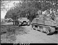 "Flat tops" of Fort Garry Horse lined up along lane 8 Apr. 1945