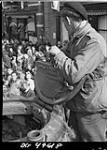 Trooper Bill Snaith, Fort Garry Horse, regarding population after Liberation 9 Apr. 1945