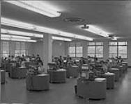 Des employés du Bureau fédéral de la Statistique utilisent les machines "Varitype" nov. 1952